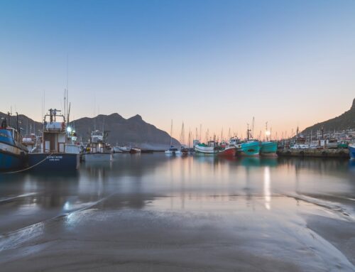 Hout Watervlekken en Kringen Voorzichtig Verwijderen van Tafels