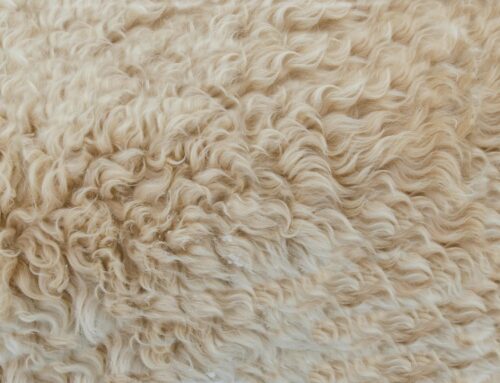 Microvezeldoek Reinigen: Waarom Wasverzachter Verboden Is