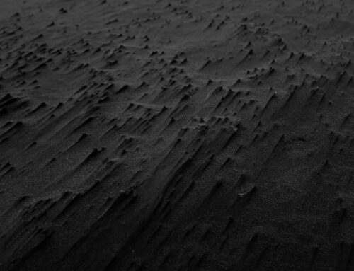 Moddervlekken op tapijt: eerst drogen of direct stomen?