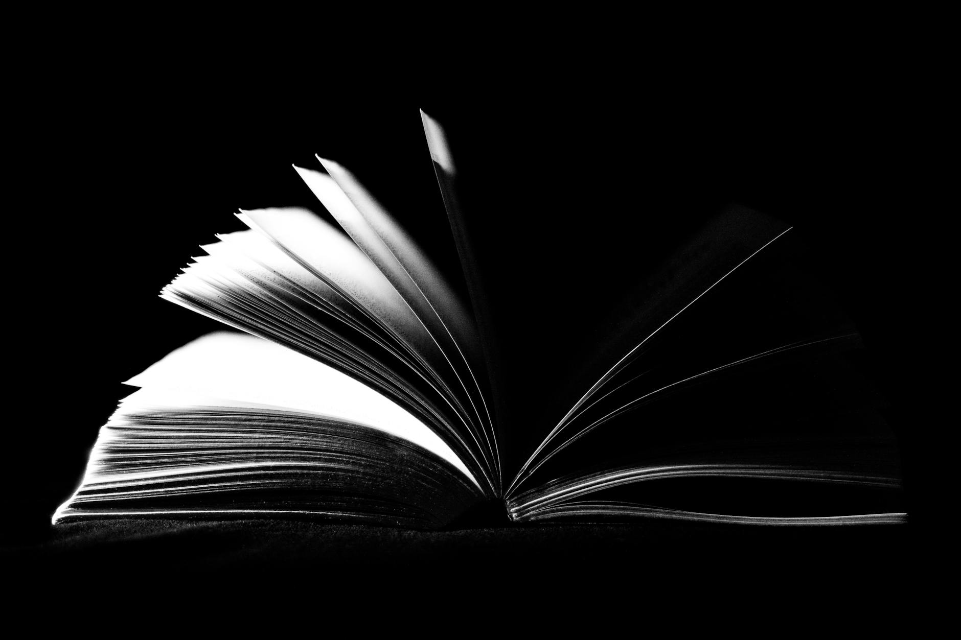 Black and white artistic photo of an open book (Incomplete: max_output_tokens)