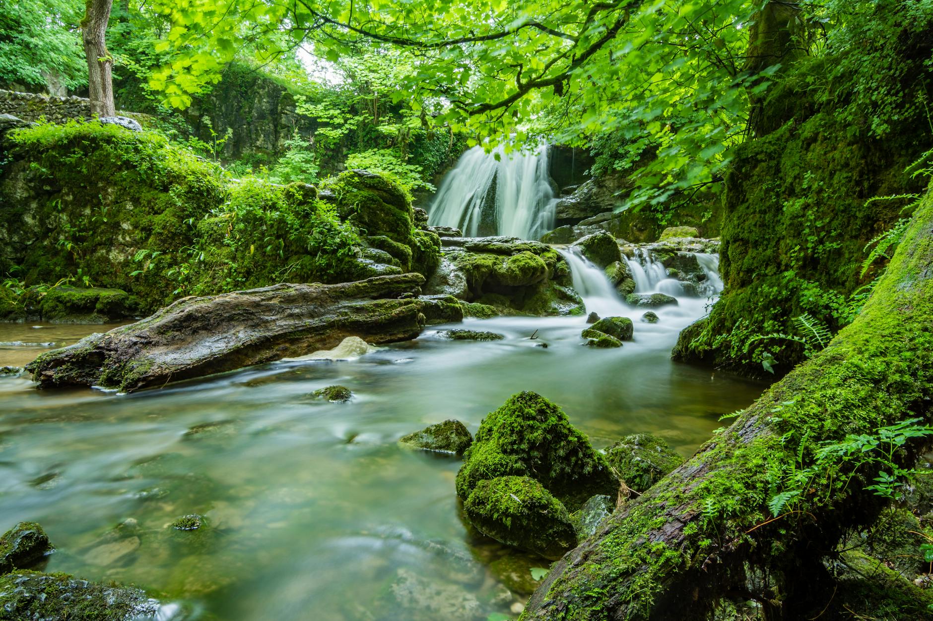 Serene forest waterfall flowing over moss-covered rocks into a clear stream surrounded by lush greenery